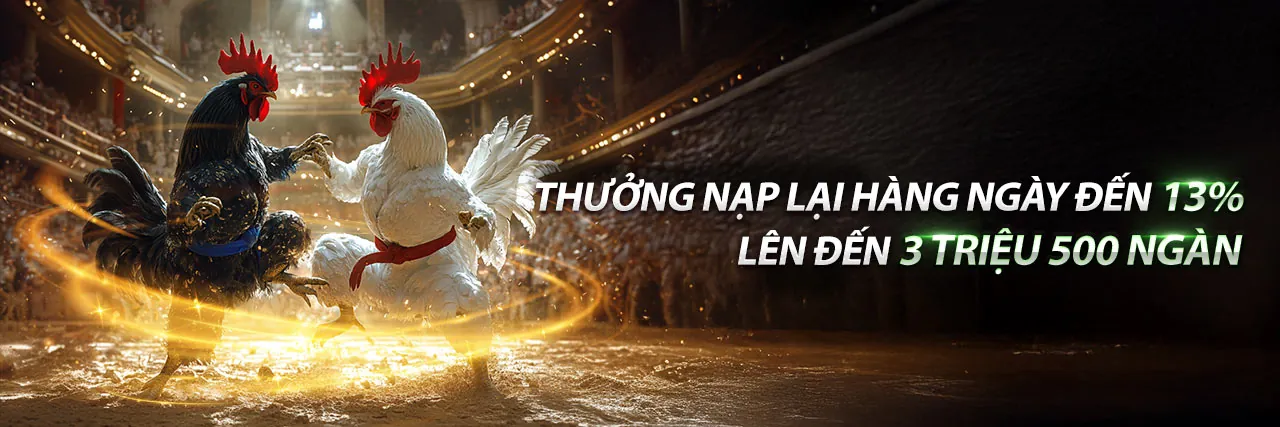 Tổng quan các chương trình khuyến mãi NE88 hấp dẫn nhất